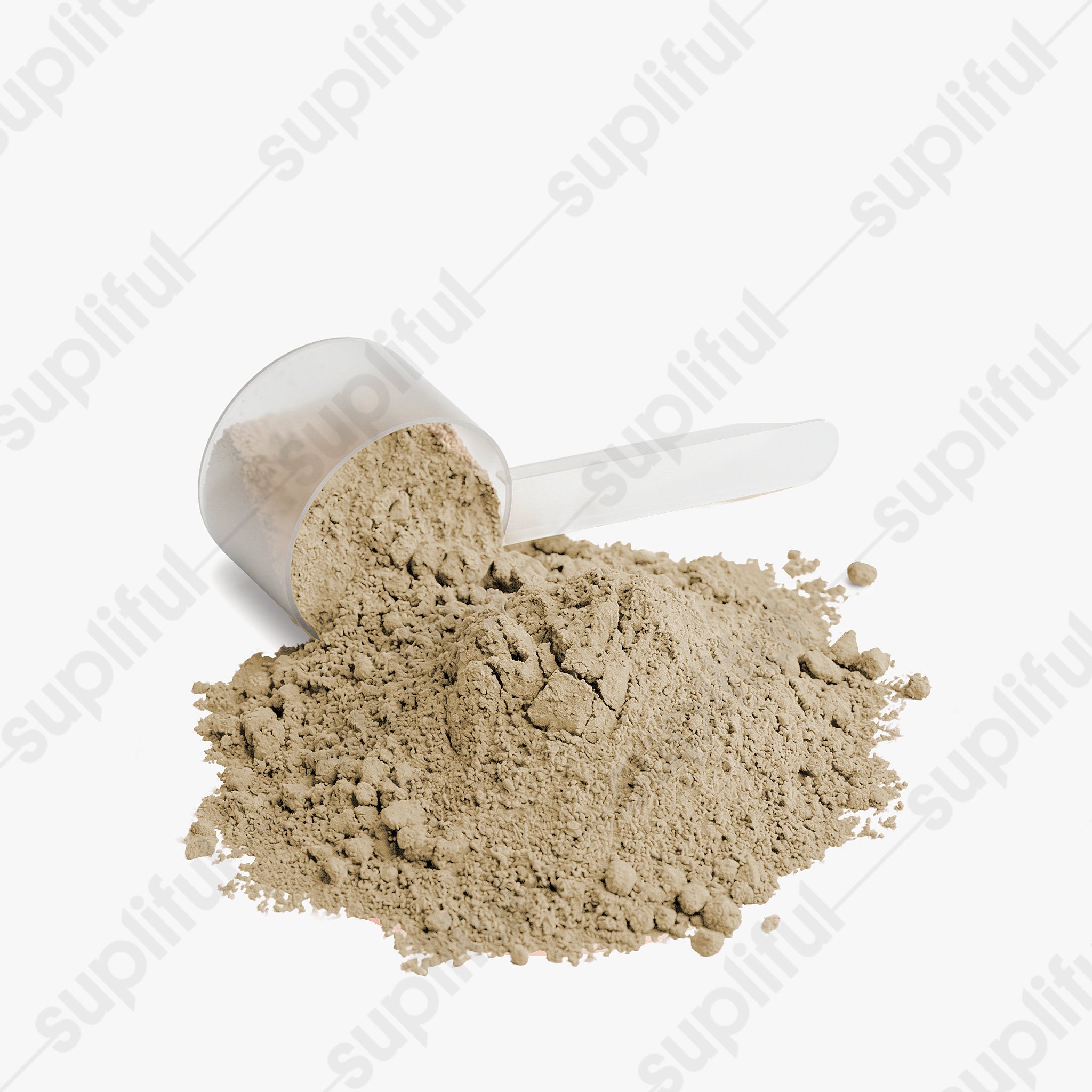 Advanced 100% Whey Protein Isolate (Vanilla)